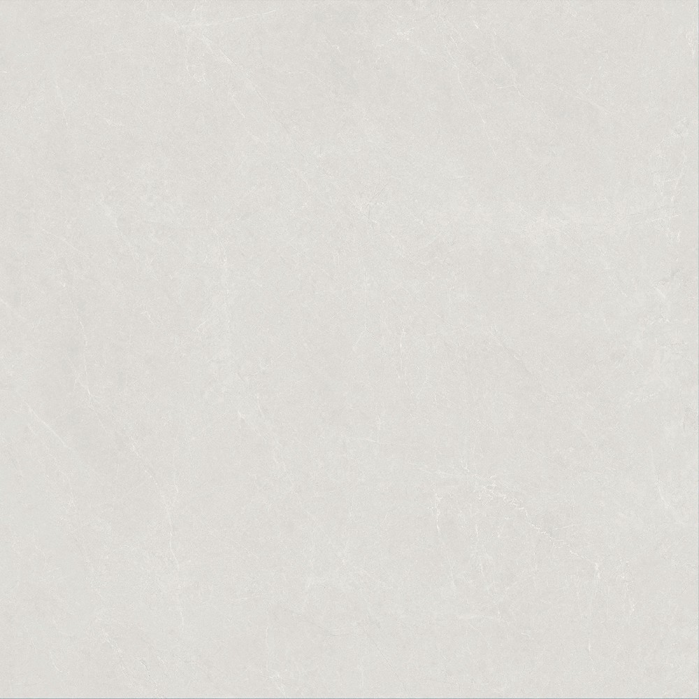 ND88L49