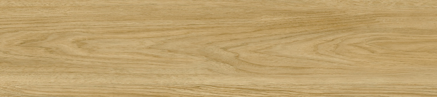GJ92022